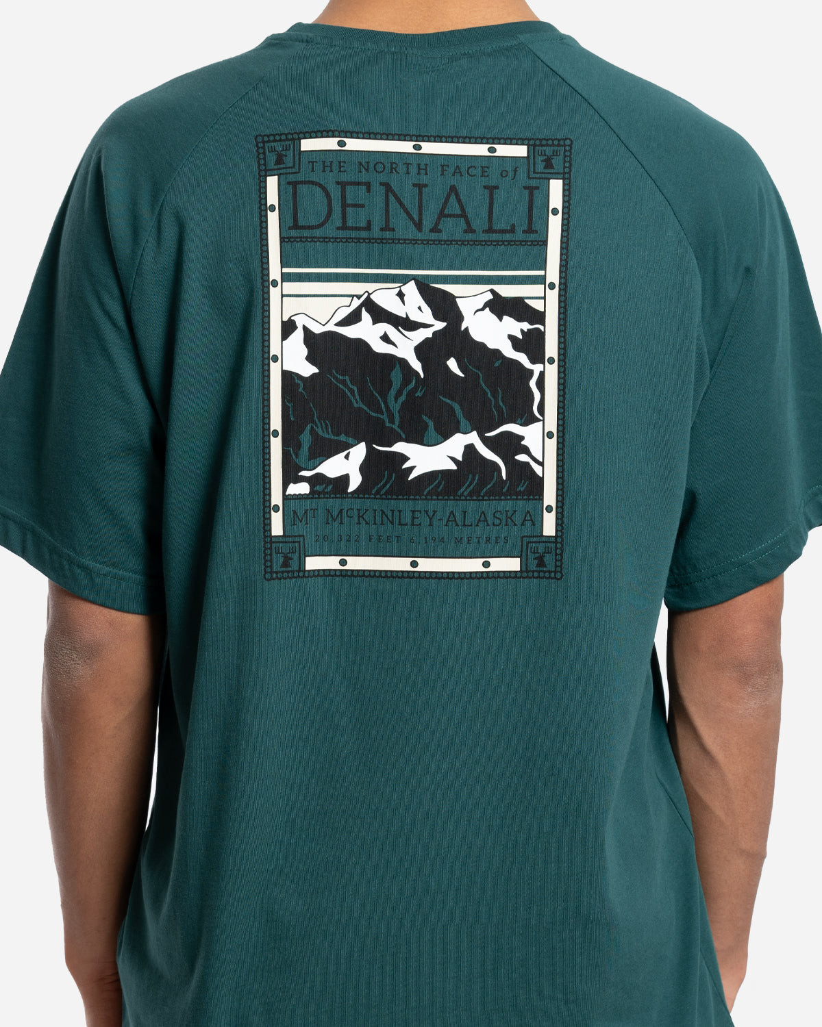 T-Shirt North Faces Vert