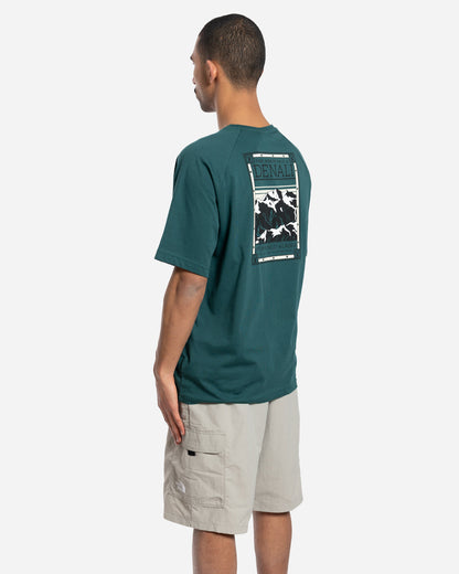 T-Shirt North Faces Vert